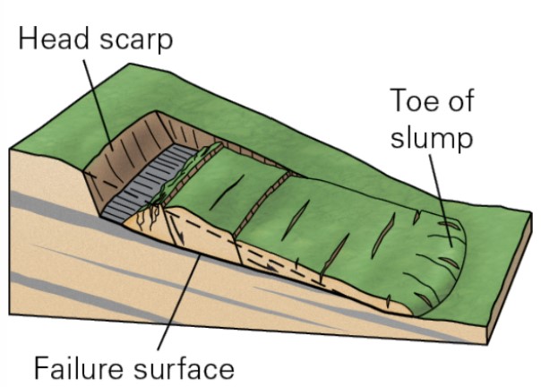 <ul><li><p>landslide that moves along a regular sloping planar surface</p></li><li><p>typic occurs when a block of material is underlain by a weak surface that is more or less parallel to the slope</p><ul><li><p>planes between sedimentary beds</p></li><li><p>old faults and fractures</p></li><li><p>debris or cohesive mud over underlying bedrocks</p></li></ul></li><li><p>block can travel down slope as a cohesive unit or lose internal cohesion and break up as it travels downslope</p><ul><li><p>if it breaks, turns into diff landslide</p></li></ul></li></ul>