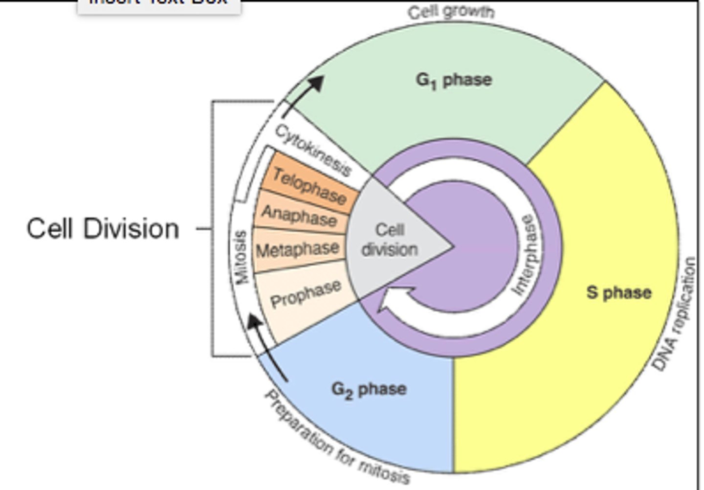 knowt flashcard image