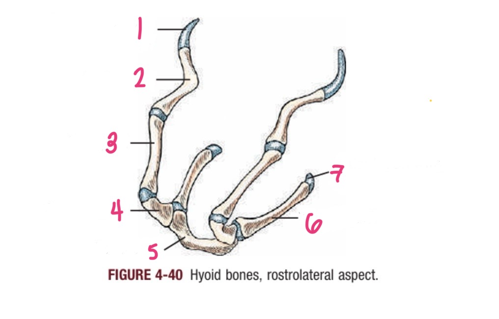 <p>1</p>
