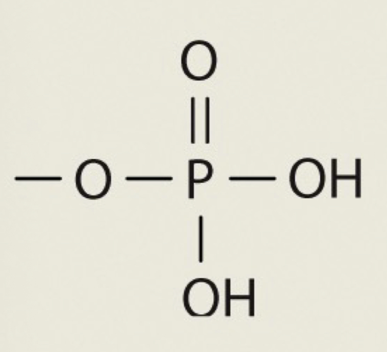 <p>OPO3H2</p>