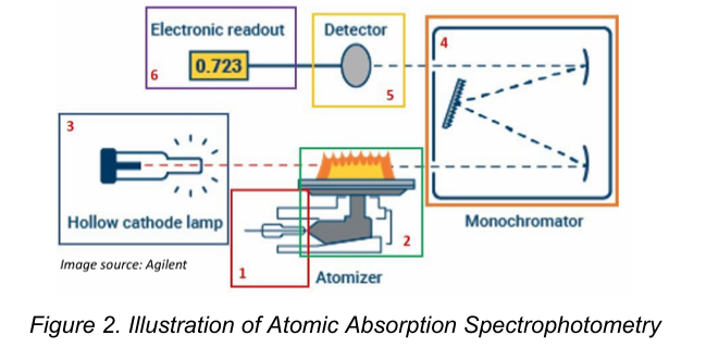 <ol><li><p>Atomization of the sample</p></li><li><p>The absorption of radiation from a light source by the free atoms</p></li></ol><p></p>