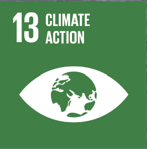<p>Climate Action</p>