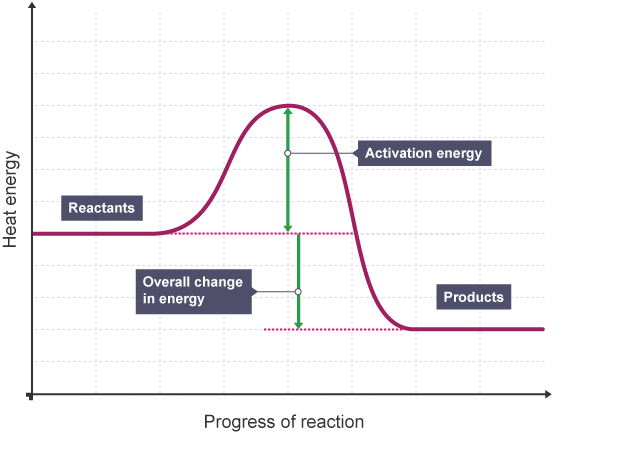 <p>What reaction profile is this?</p>