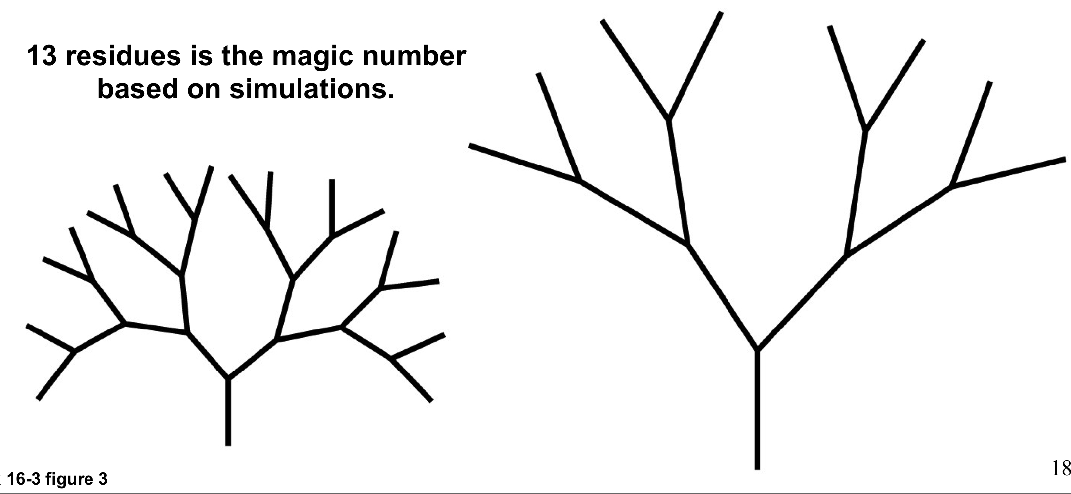 13 residues 

highly branched structures are dense with glucose and have many ends for glucose release by phosphorylase (fast) but require significant debranching (slow)

low branched structures don’t require as much deb ranching but also can’t pack as much glucose into a small shape and don’t have as many non-reducing ends for glucose release