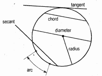<p>Circumference (Periphery)</p>