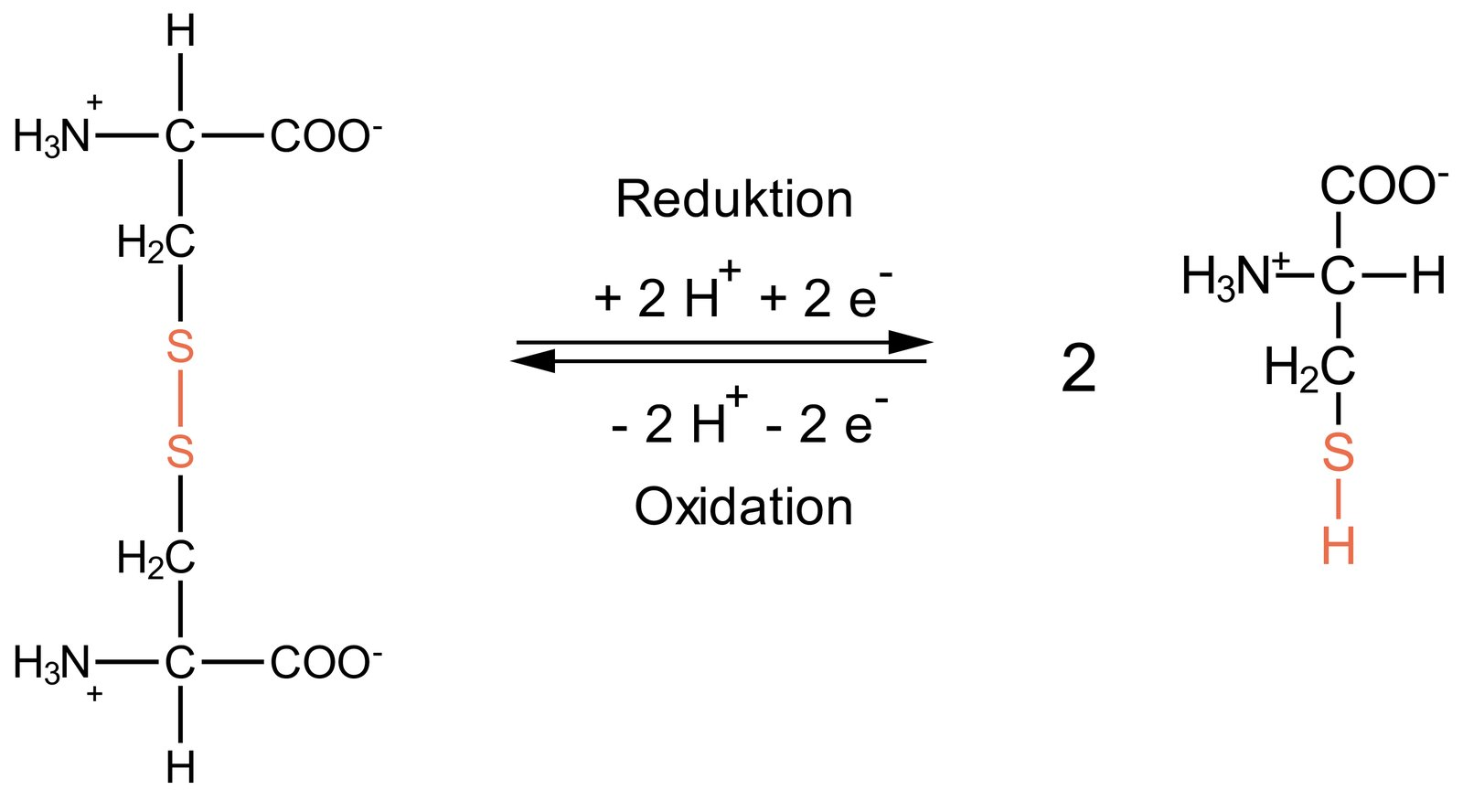 <p>B. Oxidation</p>