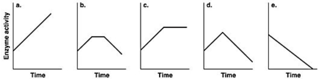 <p><span>Which of the graphs in the figure best illustrates the activity of an enzyme that is saturated with substrate?</span></p>