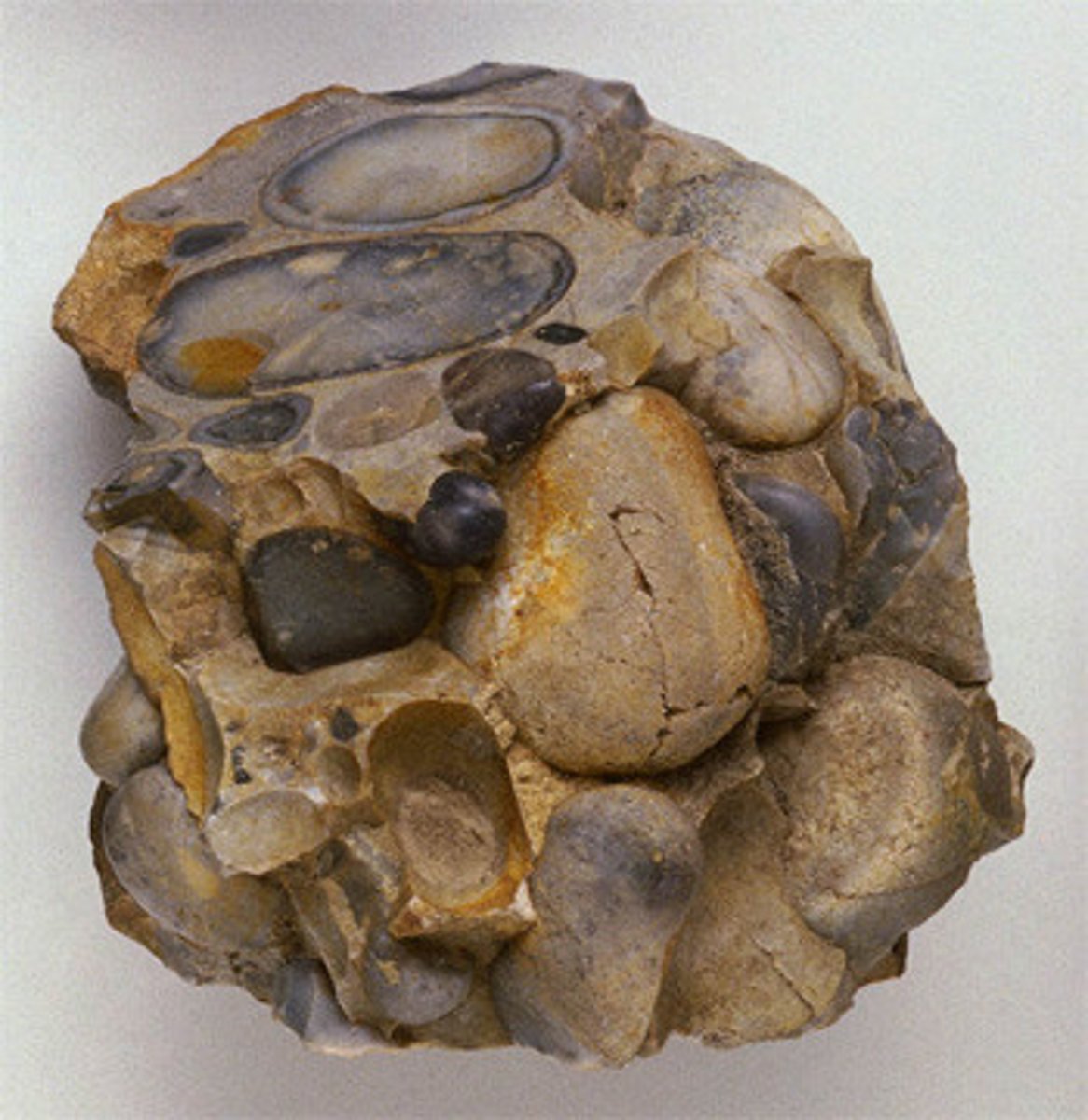 <p>Contains many well-rounded sedimentary rocks. Rock fizzes when acid dropped on it. The material between the sedimentary rocks is light-colored.</p>