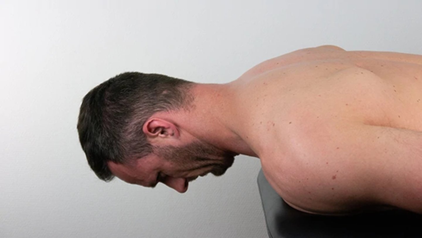 <p>- prone, head and neck just past edge of table w/ CT junction stabilized</p><p>- sustain chin tuck for 20 secs</p><p>- loss of chin tuck = superficial extensor dominance (weak deep)</p><p>- neck moves into flexion/can't hold head up = weak deep and superficial</p>