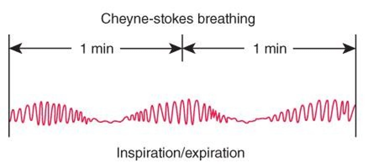 <p>Irregular breathing pattern with periods of apnea.</p>