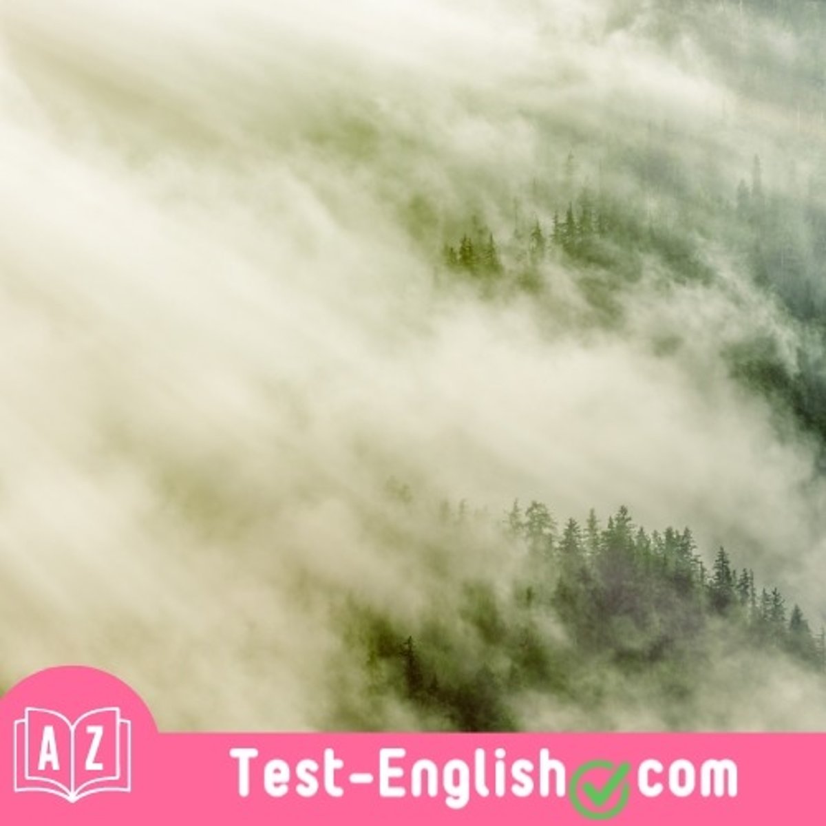 <p>It was a very _____ morning. Visibility was almost zero.</p>