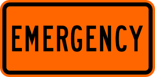 <p>Who wrote <span style="font-family: Arial, sans-serif; color: rgb(0, 0, 0)">The Ethics of Emergencies?</span></p>