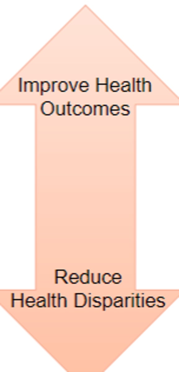 <p>the ability to interact effectively with people of different cultures</p>