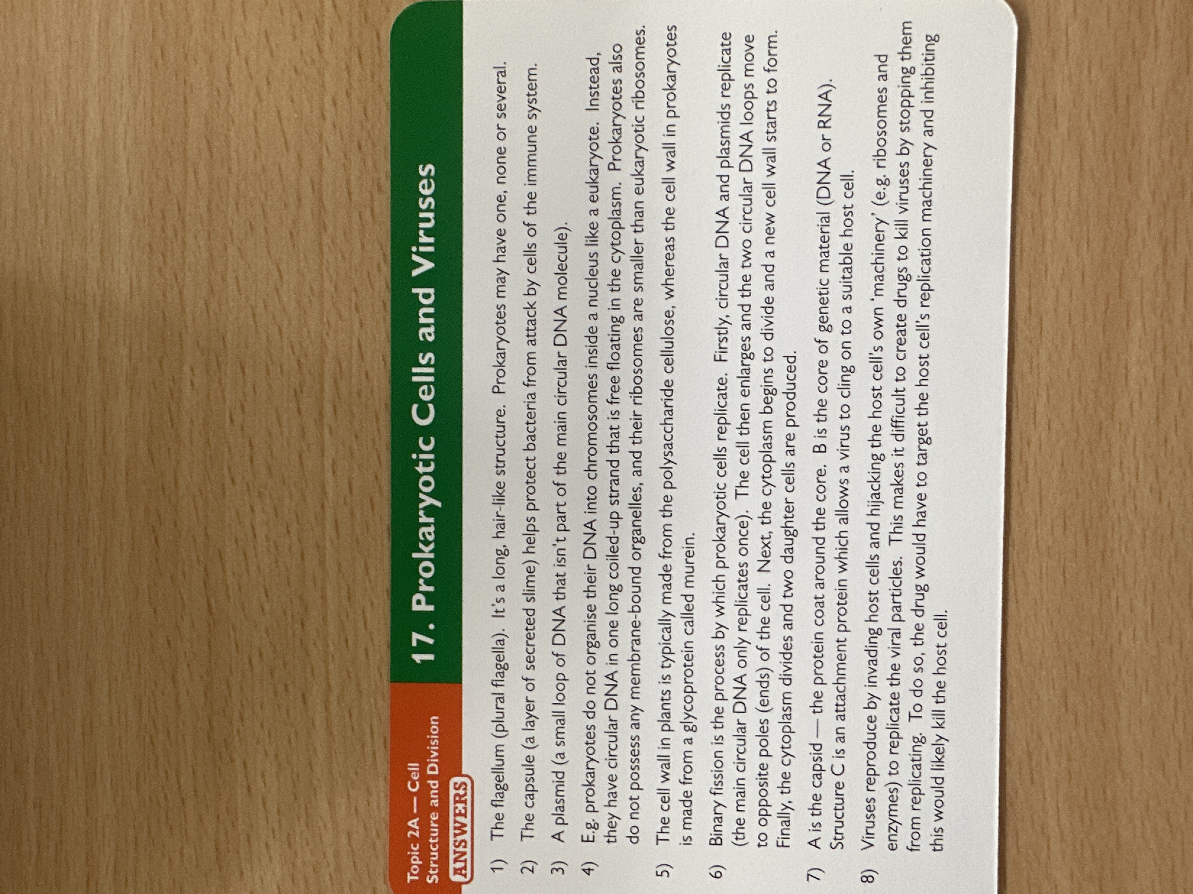 knowt flashcard image