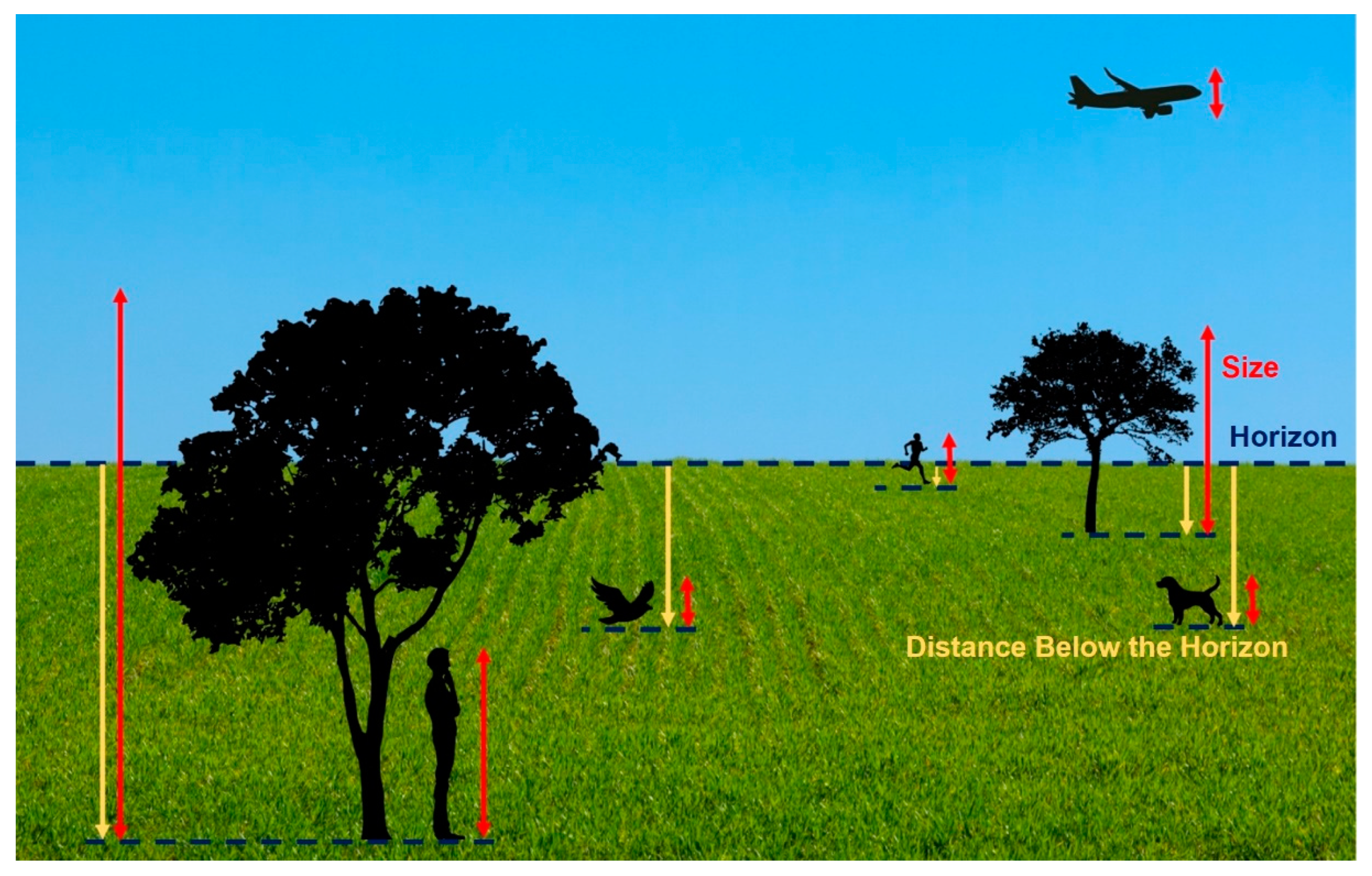 <p>= for equal-size objects below the horizon, the one that appears higher in the vision field is perceived as being farther away</p>