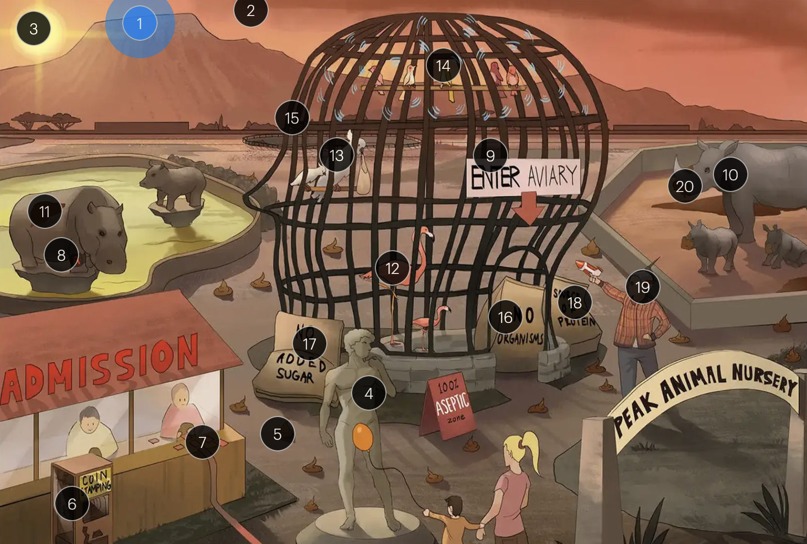 <p>Picornaviridae Overview</p><p>#9 “ENTER aviary”</p>