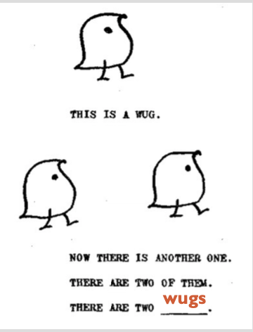 <p>The study of the composition of words (morphemes), which pre-school children (4-5 year olds) already demonstrate knowledge of.</p>