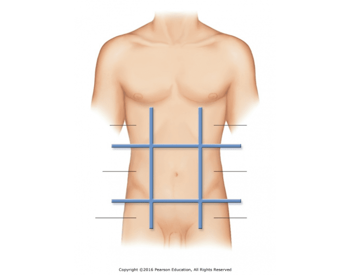 <p>Name the abdominopelvic regions indicated on the diagram:</p>