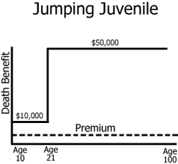 <p><span>Juvenile life insurance</span></p>