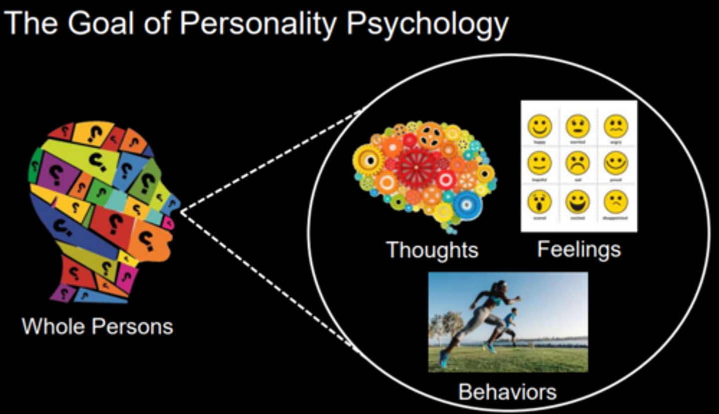 <p>Understanding the whole person through the triad and other psychological mechanisms</p>