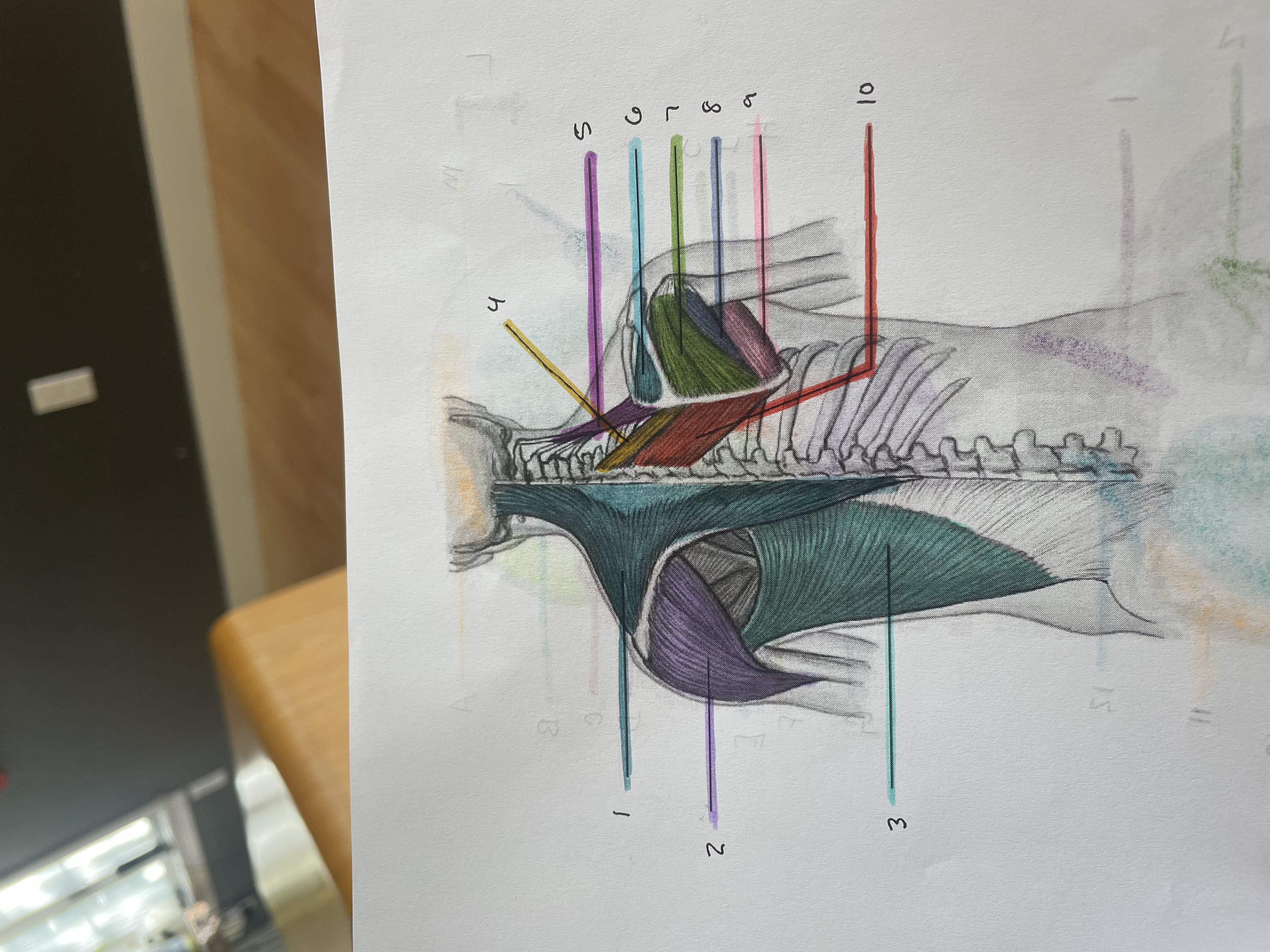 <p>1</p>