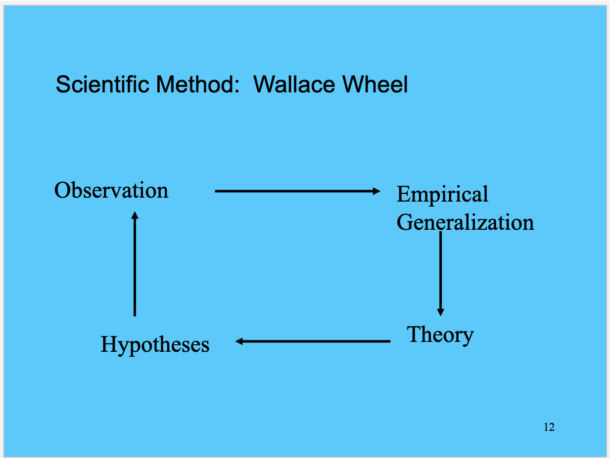 <p>The Wallace Wheel of Science is a model that illustrates the relationship between theory, research, and practice in criminology. It is useful for guiding researchers in formulating hypotheses, collecting data, and applying findings to real-world issues. </p>