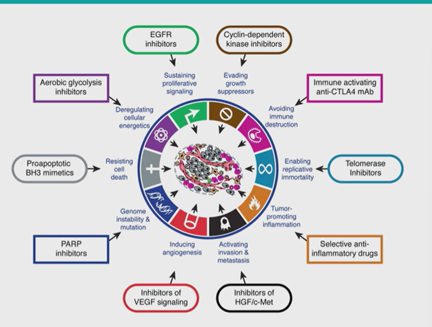 <p>what are the attributes of cancer?</p>