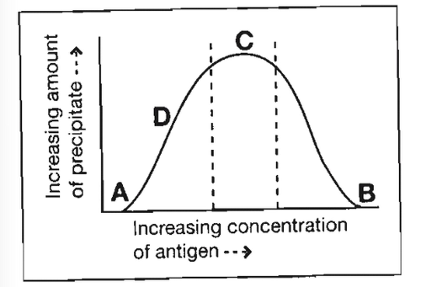 <p>c. C</p>