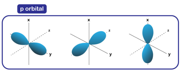 <ul><li><p>1 empty orbital, 1 full orbital</p></li><li><p>always 180* (straight)</p></li></ul>