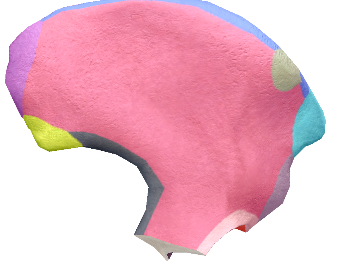 term image