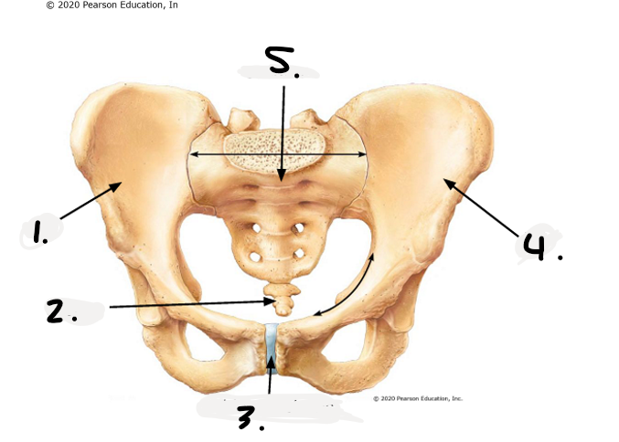 <ol start="5"><li><p> </p></li></ol><p></p>