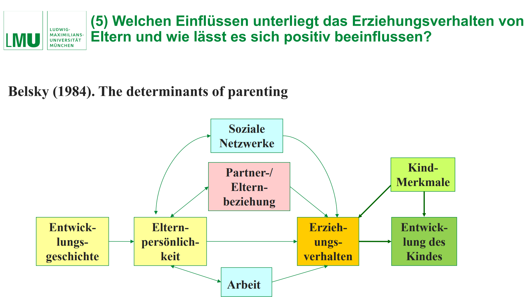 <p>Belsky (1984). The determinants of parenting</p>