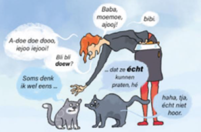 <p><span style="color: green">wat word er aangegeven met de kartoon</span></p>