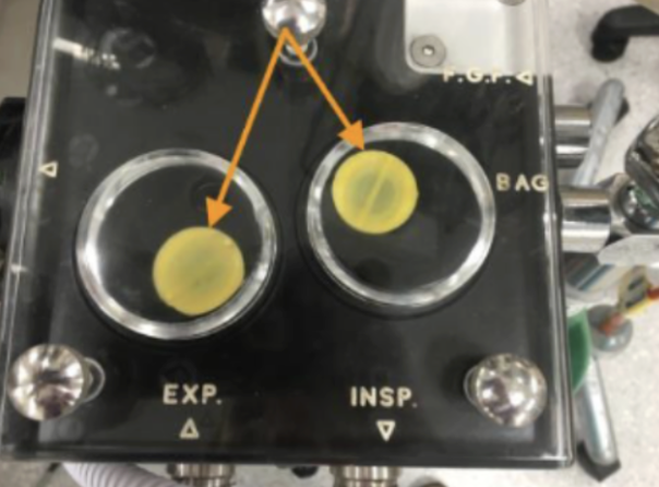 <p>name this component and which breathing system it belongs to</p>