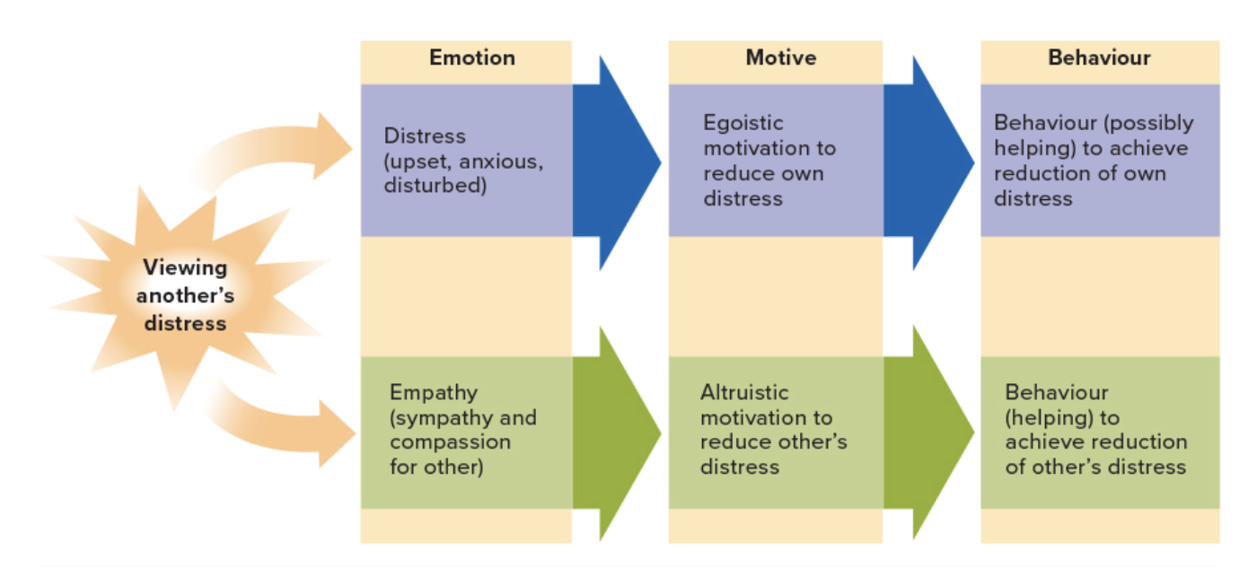 <ol><li><p>you view others’ distress</p></li><li><p><strong>you feel</strong> distressed and anxious as a result&nbsp;</p></li><li><p>you have an egoistic motive to reduce your own distress&nbsp;</p></li><li><p>you behave in way that reduce <strong>your</strong> distress</p></li></ol><p></p>