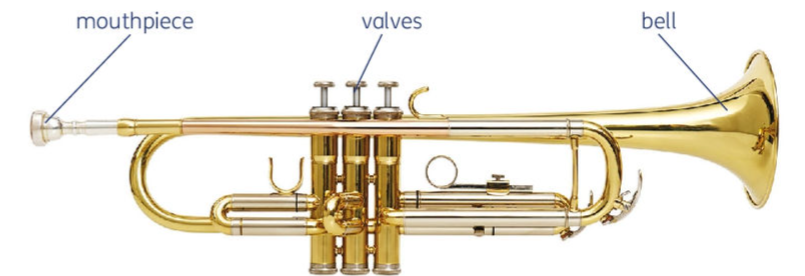 <p>The smallest and highest pitched brass instrument in the orchestra</p>