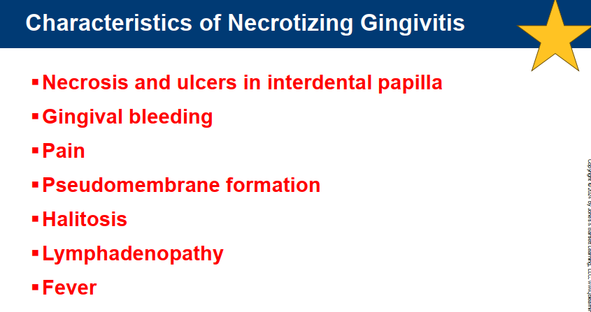 <p>Microbial cause – mainly anaerobic bacteria (bacteria deep within NG lesion); diverse array of MO</p><ul><li><p>95% of cases in North America occur in Caucasians </p></li></ul><p>Predisposing factors:</p><ul><li><p>Poor oral hygiene and plaque accumulation</p></li><li><p>Stress</p></li><li><p>Smoking</p></li><li><p>Immunosuppression (HIV/AIDS, systemic illness, malnutrition)</p><ul><li><p>HIV+ higher risk for NG; NG may be first indicator for HIV infection</p></li></ul></li><li><p>Lack of sleep/fatigue</p></li><li><p>Pre-existing gingivitis or periodontal disease</p></li></ul><p></p>
