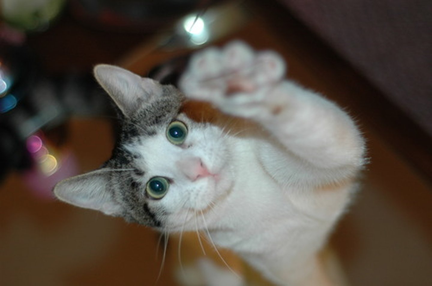 <p>(v) tiếp cận</p><p>e.g : With the world of internet, we are able to reach a lot of informations.</p>