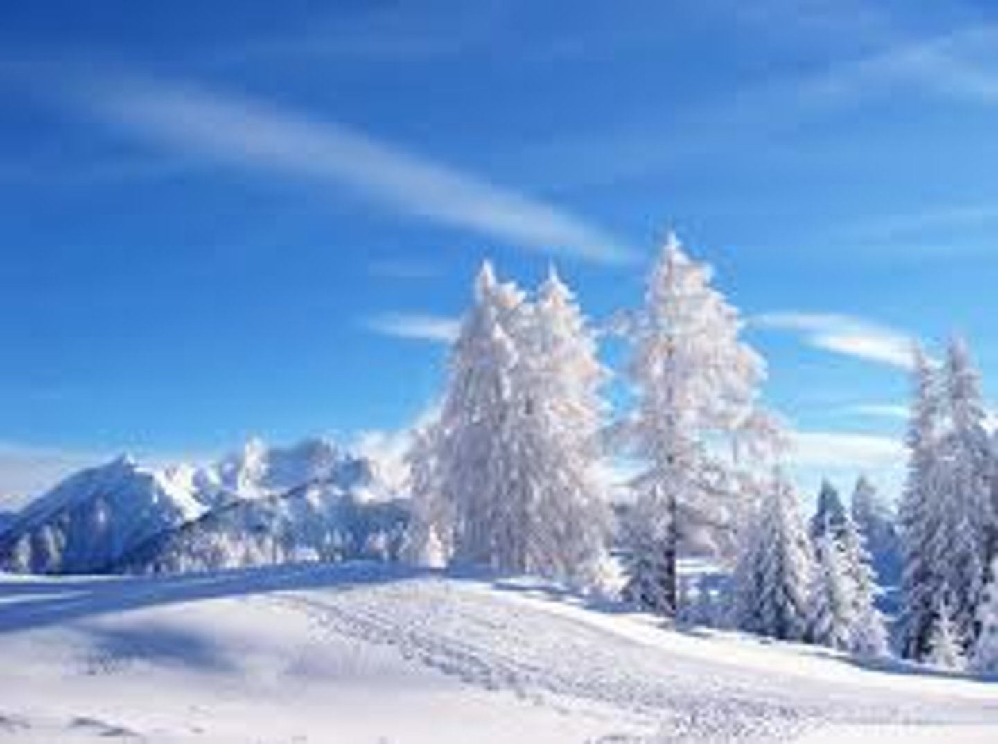 <p>Winter</p>