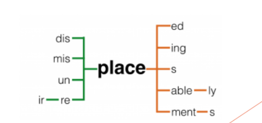<p>The vocabulary of language and its structure; The study of the internal structure (grammar) of words.</p>