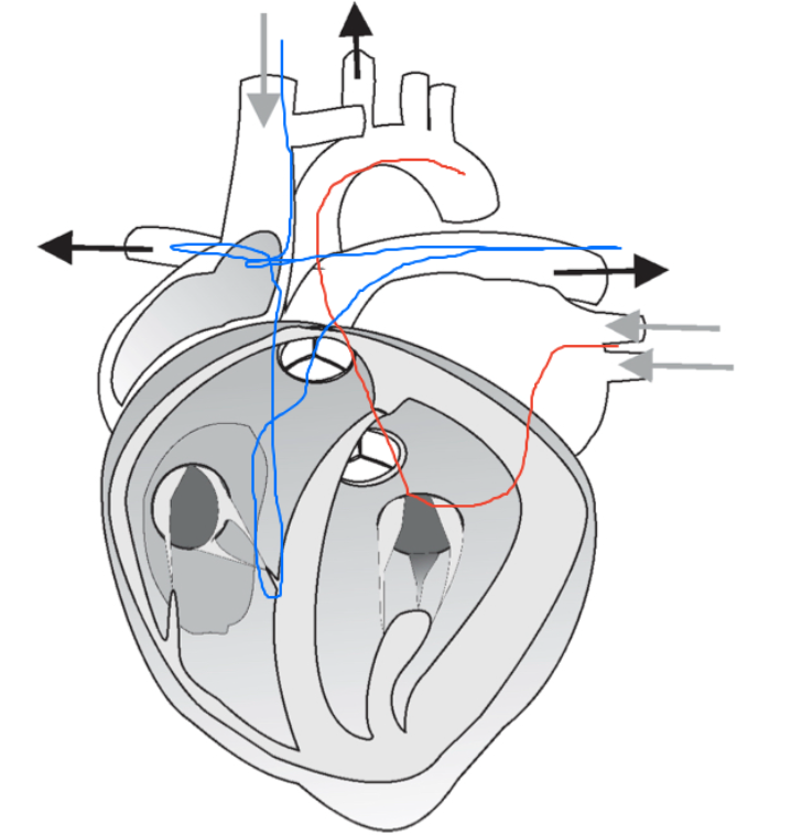 <p>What does this show?</p>