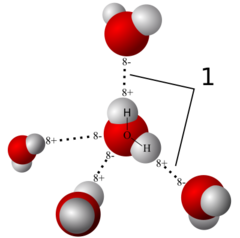 <p>bond created by the weak attraction of a slightly positive hydrogen atom to a slightly negative portion of another molecule</p>