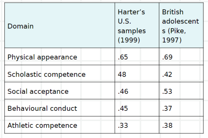 <p>results from good performance in domains/’subsets of the self’ deemed important</p>