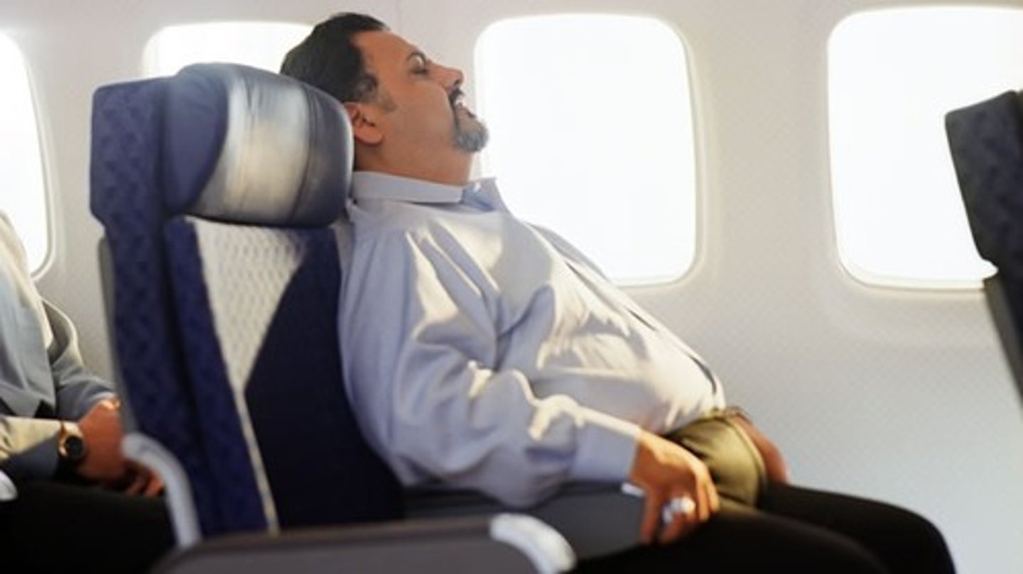 <p>the passenger</p>