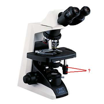 <p><span style="font-family: Lato Extended, Lato, Helvetica Neue, Helvetica, Arial, sans-serif">Identify the indicated parts of the microscope.</span></p>