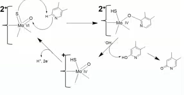 <p>which enzyme catalyzes the following reaction? </p>