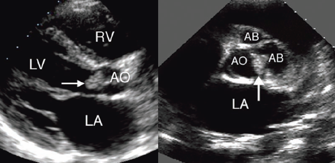 <p>what is shown here?</p>