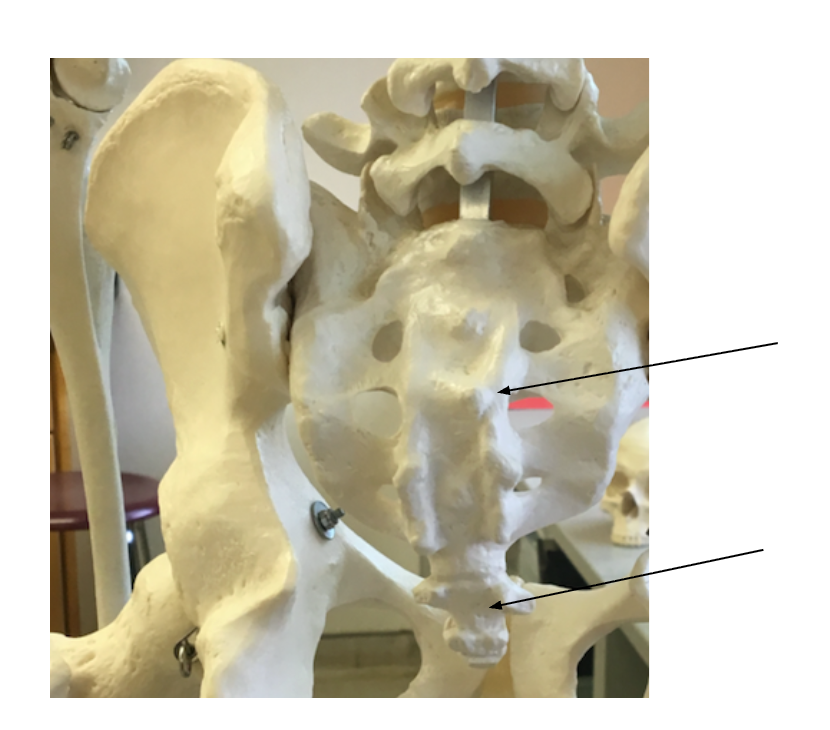 <ol><li><p></p></li><li><p></p></li></ol><p></p>