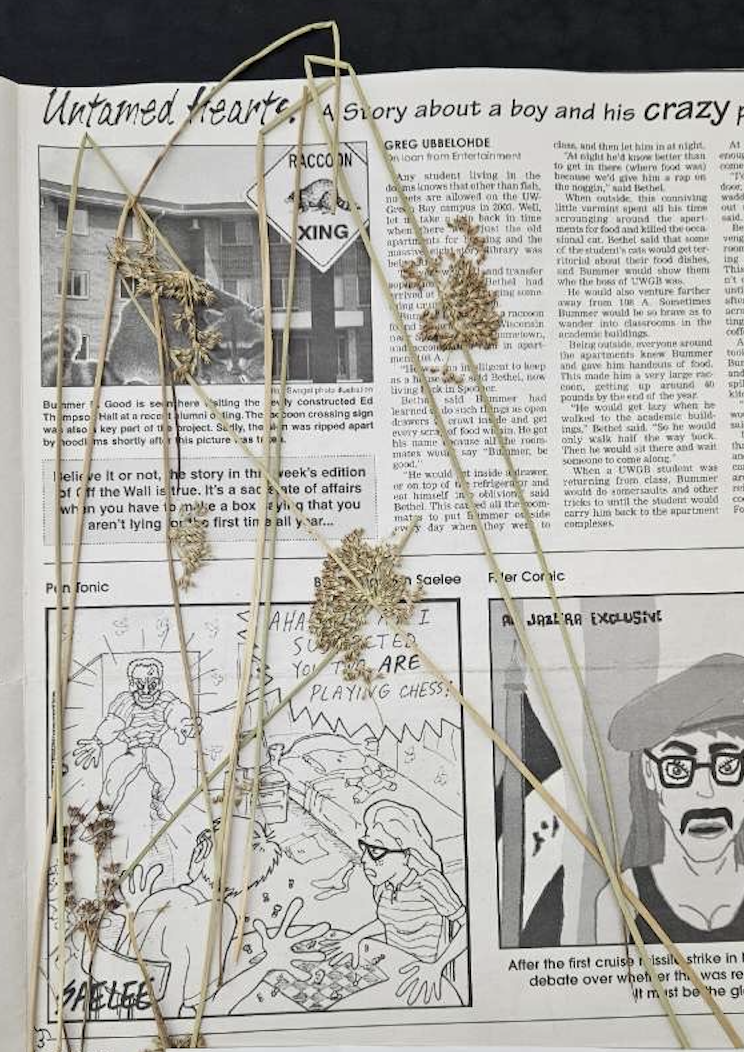 <p>plant?</p>