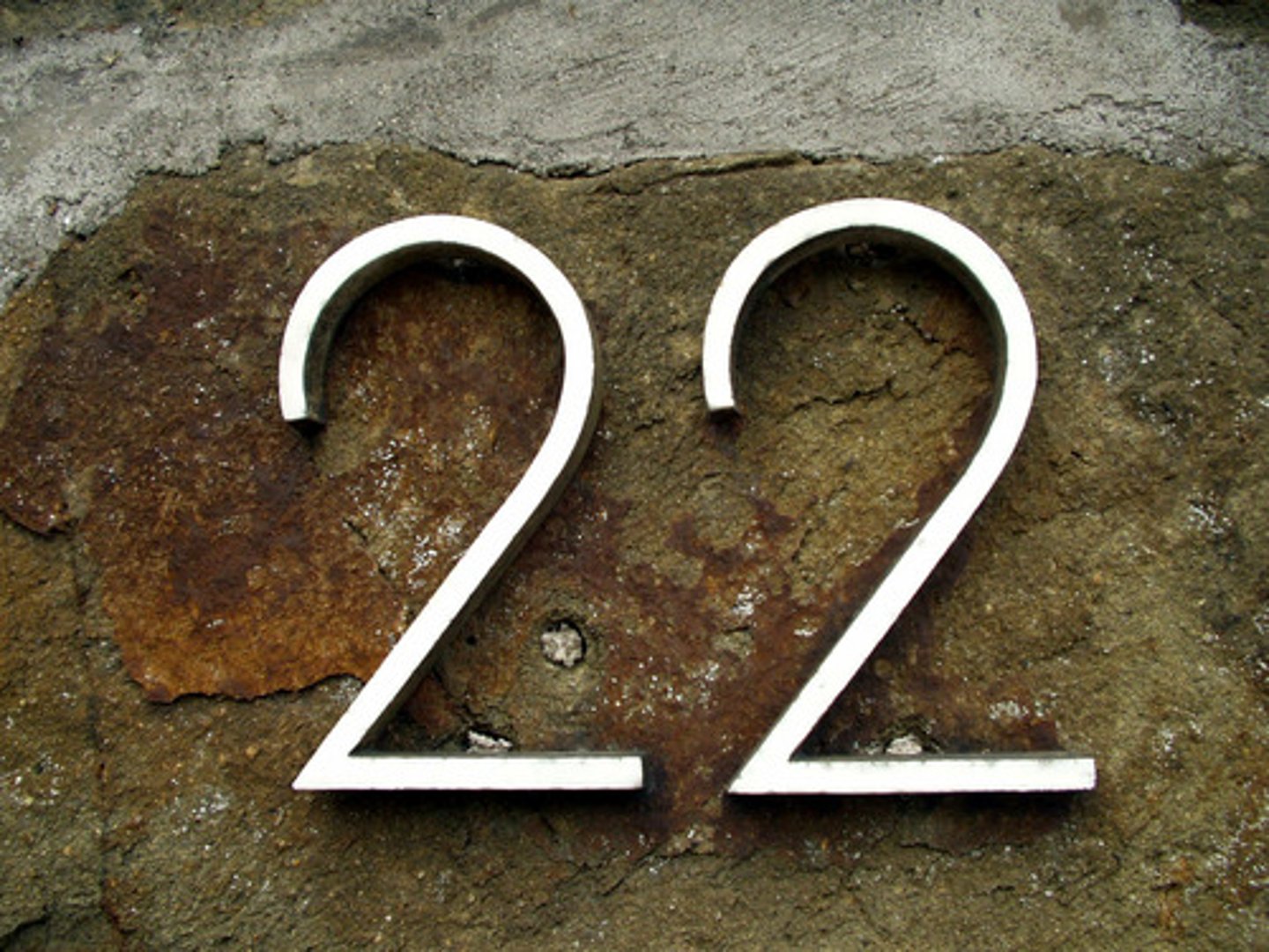 <p>twenty two</p>